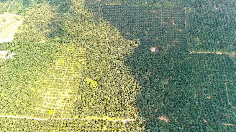 For Sale - Kota Tinggi Walk