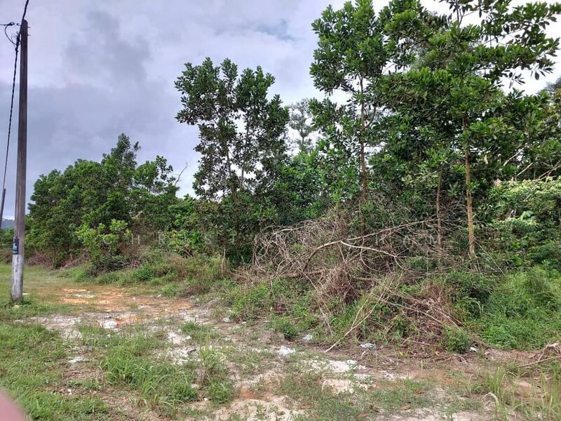 Agricultural Land for Sale in Kota Tinggi (Johor) - Christine Cham - Exterior - PropertyGuru.com.my