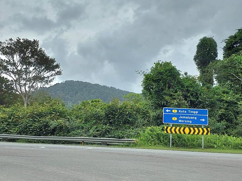 Agricultural Land for Sale in Kota Tinggi (Johor) - Christine Cham - Exterior - PropertyGuru.com.my