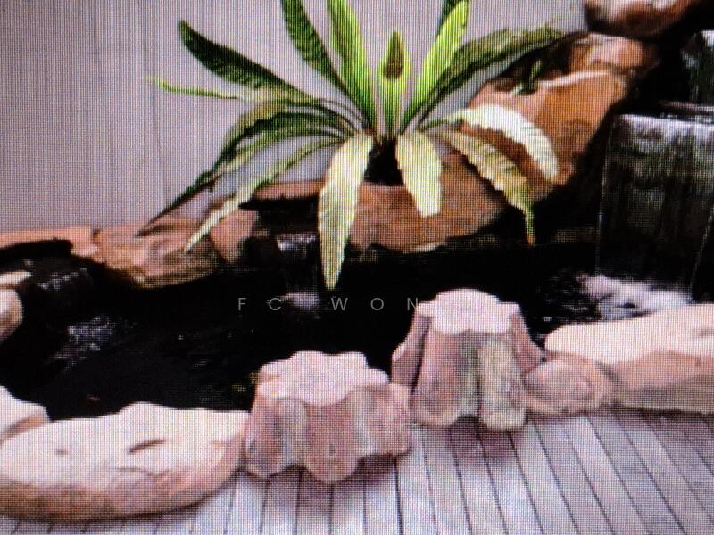 Bungalow House untuk Dijual di Taman Yarl (Jalan Klang Lama (Old Klang Road)) - FC Wong - Garden - PropertyGuru.com.my