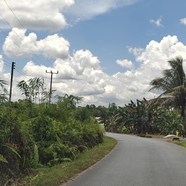 Tanah Pertanian untuk Dijual di Rantau Panjang (Kuching) - Sherene Kok - Exterior - PropertyGuru.com.my