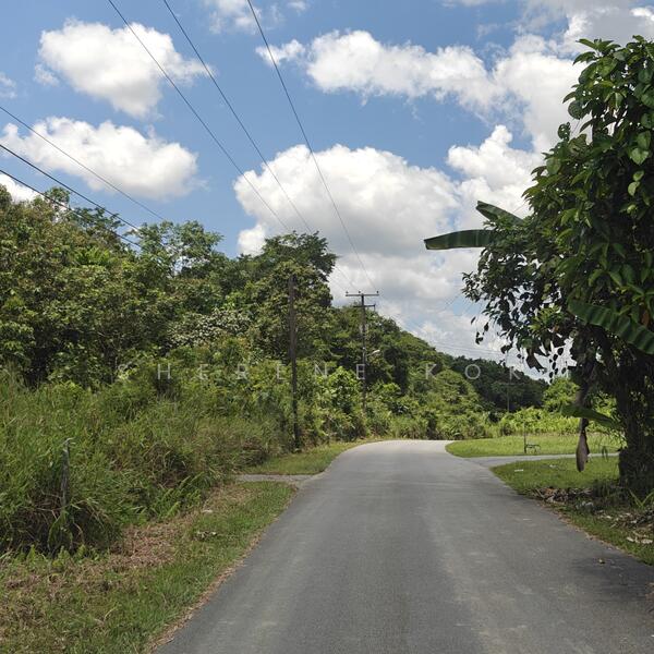 Tanah Pertanian untuk Dijual di Rantau Panjang (Kuching) - Sherene Kok - Exterior - PropertyGuru.com.my