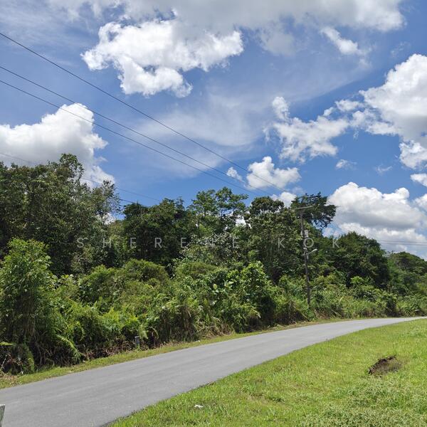 Tanah Pertanian untuk Dijual di Rantau Panjang (Kuching) - Sherene Kok - Exterior - PropertyGuru.com.my