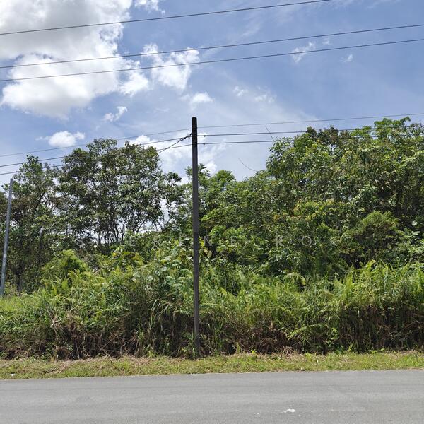 Tanah Pertanian untuk Dijual di Rantau Panjang (Kuching) - Sherene Kok - Exterior - PropertyGuru.com.my