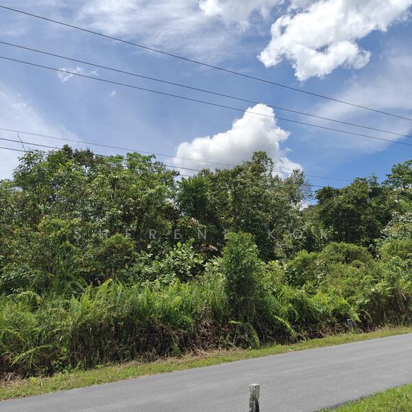 Agricultural Land for Sale in Rantau Panjang (Kuching) - Sherene Kok - Exterior - PropertyGuru.com.my