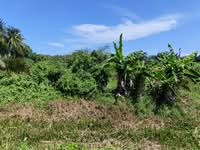 For Sale - Johor Labis Mukim Bekok agricultural land
