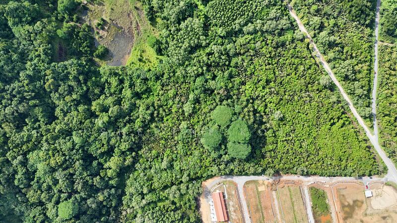 Tanah Pertanian untuk Dijual di Kuching (Sarawak) - Sherene Kok - Exterior - PropertyGuru.com.my