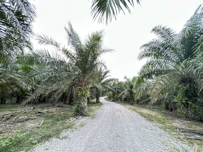 Tanah Pertanian untuk Dijual di Lukut (Port Dickson) - Kai Shwen Lai - Exterior - PropertyGuru.com.my