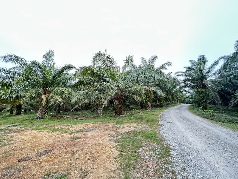 Tanah Pertanian untuk Dijual di Lukut (Port Dickson) - Kai Shwen Lai - Exterior - PropertyGuru.com.my