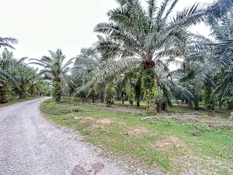 Tanah Pertanian untuk Dijual di Lukut (Port Dickson) - Kai Shwen Lai - Exterior - PropertyGuru.com.my