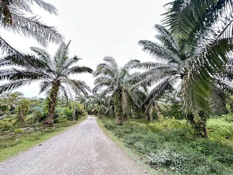 Tanah Pertanian untuk Dijual di Lukut (Port Dickson) - Kai Shwen Lai - PropertyGuru.com.my