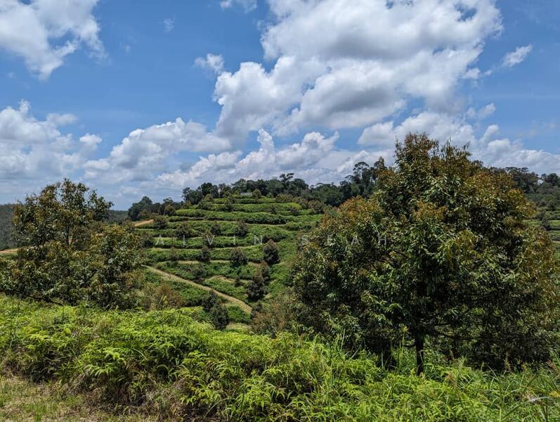 Untuk Dijual - Padang Tengku, Pahang