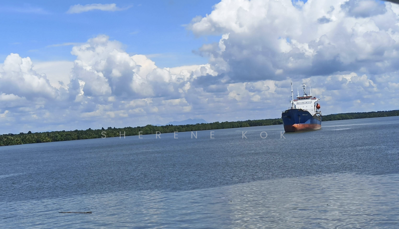 Agricultural Land for Sale in Kuching (Sarawak) - Sherene Kok - PropertyGuru.com.my