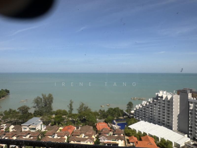 Untuk Disewa - Miami Green