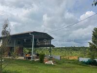 For Sale - Durian Tunggal