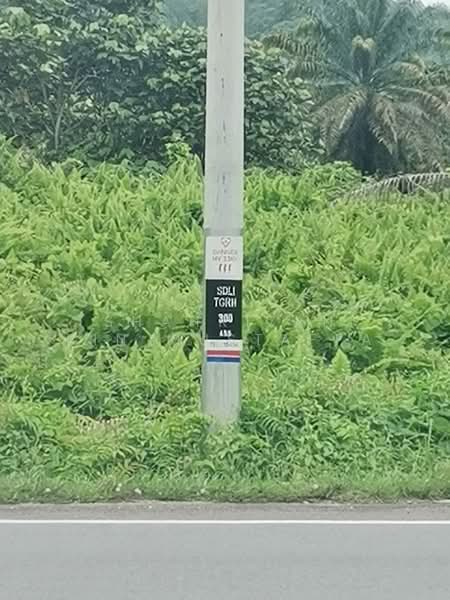Untuk Dijual - Ulu Sungai Sedili Besar