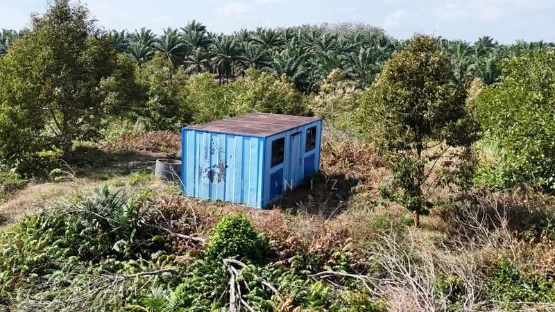 Tanah Pertanian untuk Dijual di Kangkar Baru (Yong Peng) - AIRUL NIZAM - Exterior - PropertyGuru.com.my