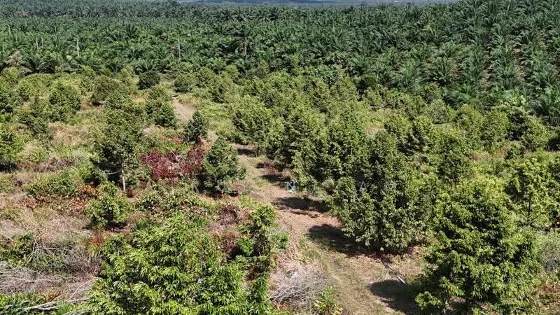 Tanah Pertanian untuk Dijual di Kangkar Baru (Yong Peng) - AIRUL NIZAM - Exterior - PropertyGuru.com.my