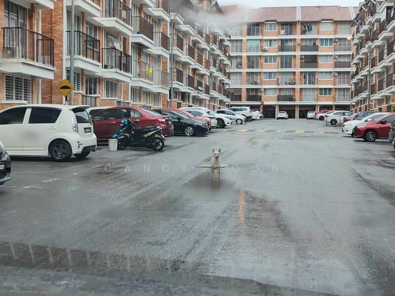 Pangsapuri untuk Dijual di Goodview Heights - Candy Soon - Exterior - PropertyGuru.com.my