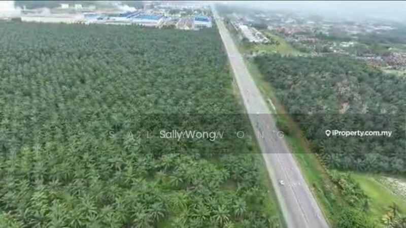 Tanah Kediaman untuk Dijual di Kampung Bukit Changgang (Tanjong Duabelas) - Sally Wong - PropertyGuru.com.my