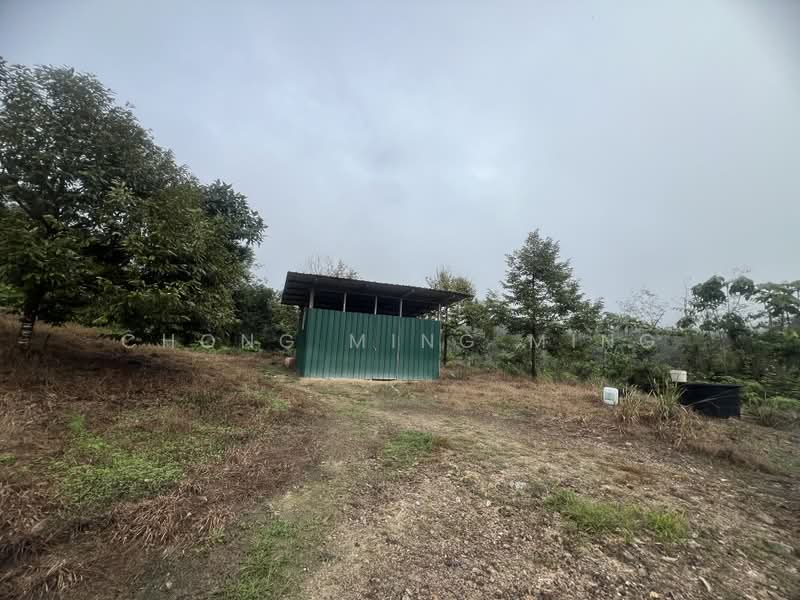 Agricultural Land for Sale in Bentong (Pahang) - Chong Ming Ming - Exterior - PropertyGuru.com.my