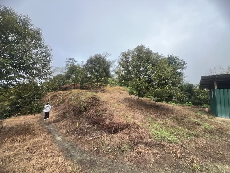 Agricultural Land for Sale in Bentong (Pahang) - Chong Ming Ming - Exterior - PropertyGuru.com.my