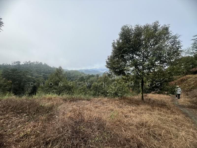 Agricultural Land for Sale in Bentong (Pahang) - Chong Ming Ming - Exterior - PropertyGuru.com.my