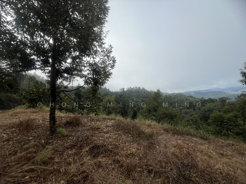 Agricultural Land for Sale in Bentong (Pahang) - Chong Ming Ming - Exterior - PropertyGuru.com.my