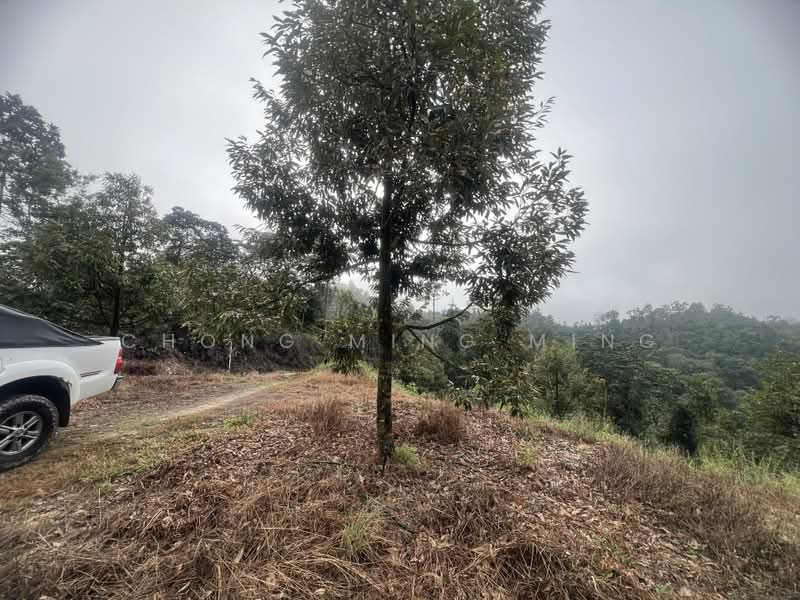 Agricultural Land for Sale in Bentong (Pahang) - Chong Ming Ming - Exterior - PropertyGuru.com.my