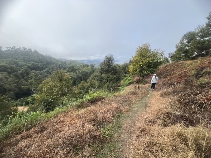 Agricultural Land for Sale in Bentong (Pahang) - Chong Ming Ming - Exterior - PropertyGuru.com.my