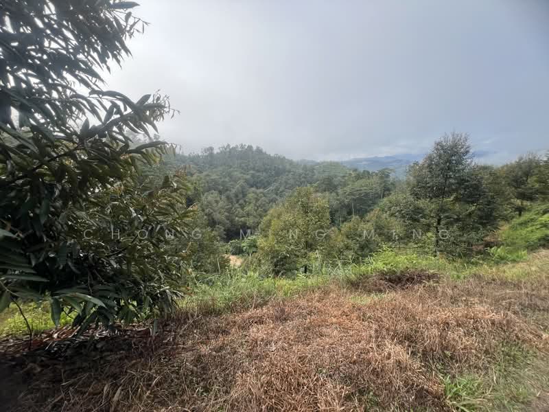 Agricultural Land for Sale in Bentong (Pahang) - Chong Ming Ming - Exterior - PropertyGuru.com.my