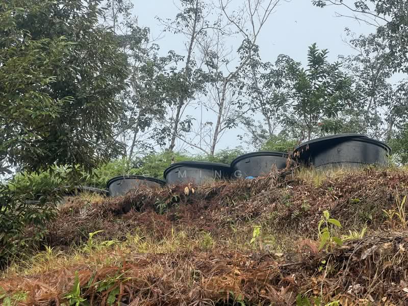 Agricultural Land for Sale in Bentong (Pahang) - Chong Ming Ming - Exterior - PropertyGuru.com.my