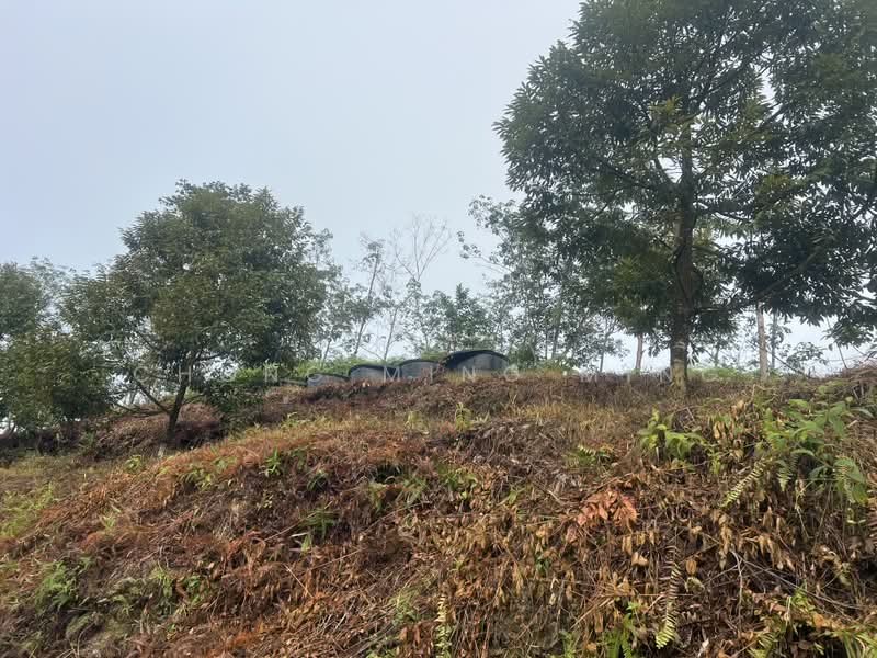 Agricultural Land for Sale in Bentong (Pahang) - Chong Ming Ming - Exterior - PropertyGuru.com.my
