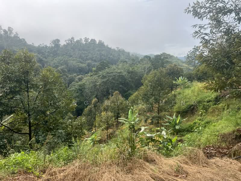 Agricultural Land for Sale in Bentong (Pahang) - Chong Ming Ming - Exterior - PropertyGuru.com.my
