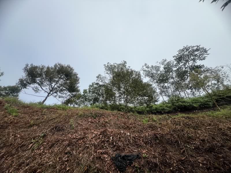 Agricultural Land for Sale in Bentong (Pahang) - Chong Ming Ming - Exterior - PropertyGuru.com.my