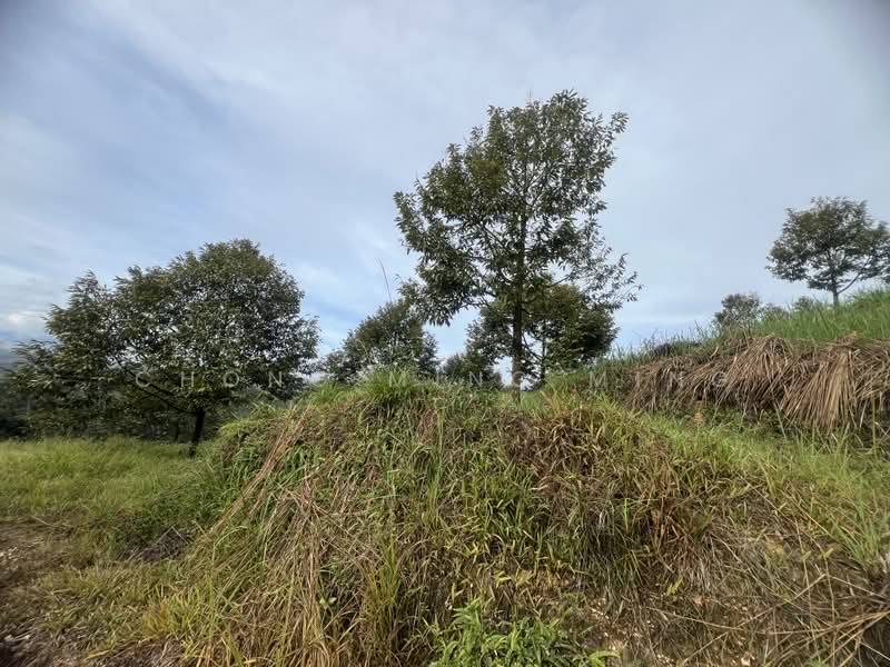 Agricultural Land for Sale in Bentong (Pahang) - Chong Ming Ming - Exterior - PropertyGuru.com.my