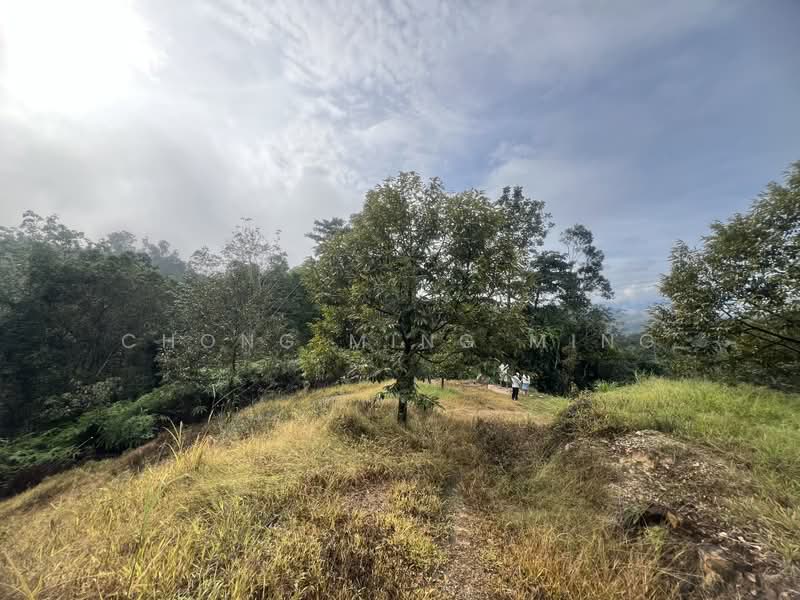 Agricultural Land for Sale in Bentong (Pahang) - Chong Ming Ming - Exterior - PropertyGuru.com.my