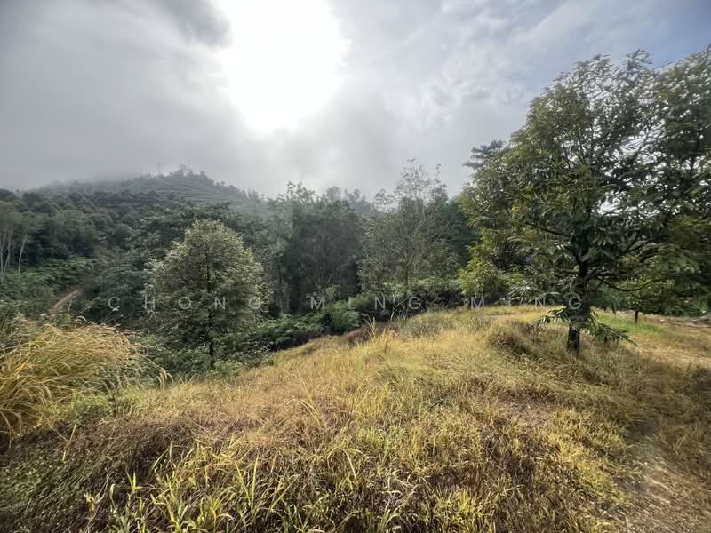 Agricultural Land for Sale in Bentong (Pahang) - Chong Ming Ming - Exterior - PropertyGuru.com.my