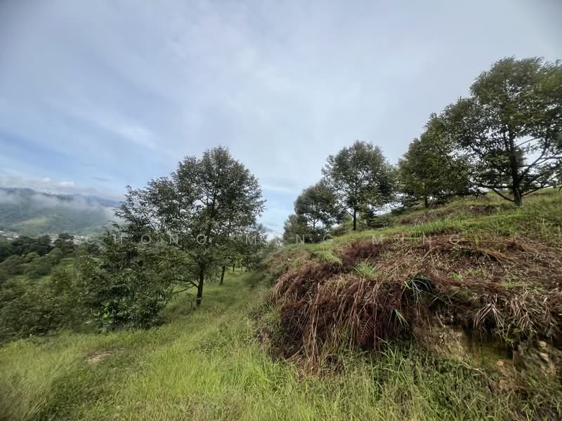 Agricultural Land for Sale in Bentong (Pahang) - Chong Ming Ming - Exterior - PropertyGuru.com.my