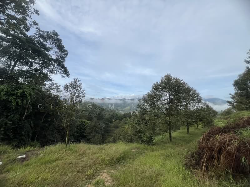 Agricultural Land for Sale in Bentong (Pahang) - Chong Ming Ming - Exterior - PropertyGuru.com.my