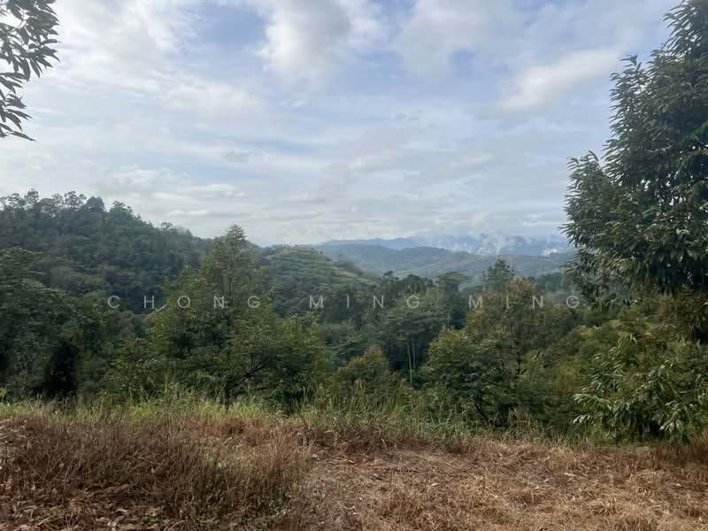 Agricultural Land for Sale in Bentong (Pahang) - Chong Ming Ming - Exterior - PropertyGuru.com.my