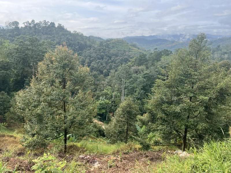 Agricultural Land for Sale in Bentong (Pahang) - Chong Ming Ming - Exterior - PropertyGuru.com.my