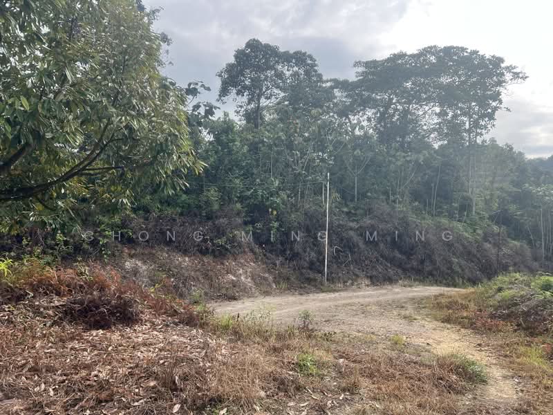 Agricultural Land for Sale in Bentong (Pahang) - Chong Ming Ming - Exterior - PropertyGuru.com.my