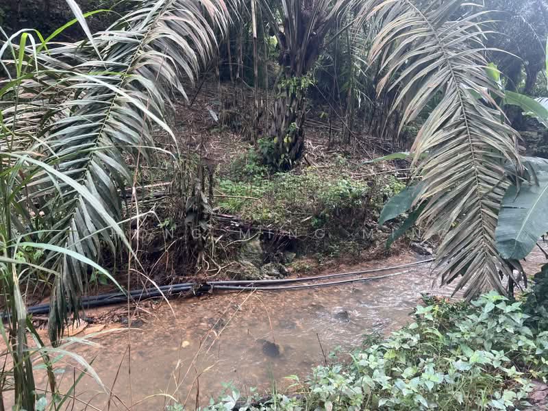Agricultural Land for Sale in Bentong (Pahang) - Chong Ming Ming - Exterior - PropertyGuru.com.my