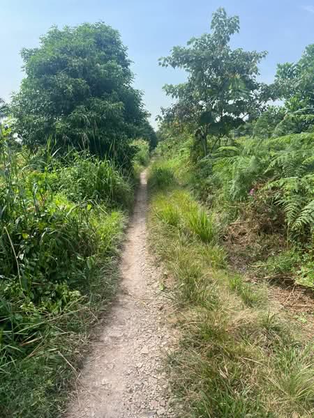 Agricultural Land for Sale in Kampung Johan Setia (Klang) - Victoria Chew - Exterior - PropertyGuru.com.my