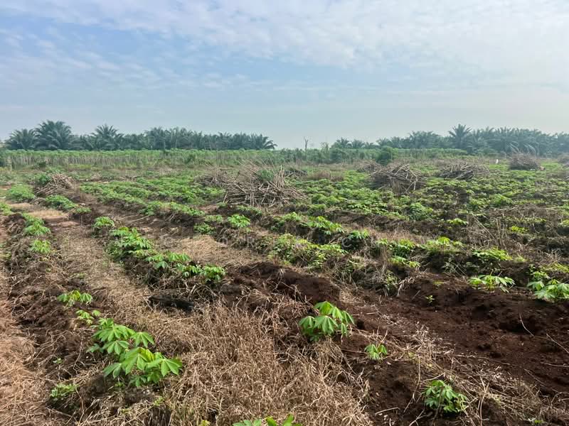 Agricultural Land for Sale in Kampung Johan Setia (Klang) - Victoria Chew - Exterior - PropertyGuru.com.my