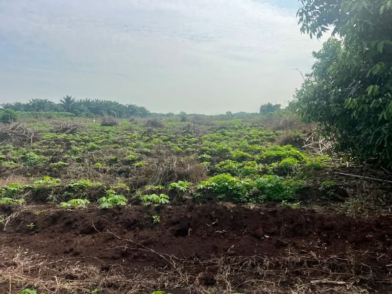 Agricultural Land for Sale in Kampung Johan Setia (Klang) - Victoria Chew - Exterior - PropertyGuru.com.my
