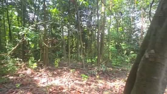 Tanah Pertanian untuk Dijual di Mont Kiara (Kuala Lumpur) - RAIS . - PropertyGuru.com.my