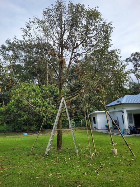 Tapak Sebelah Dusun Durian