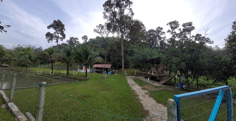 Tapak Sebelah Ternak Kambing